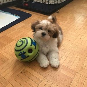 Meet your Posher, Alberto